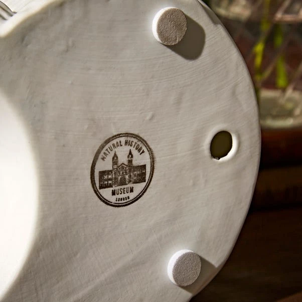 Natural History Museum Porcelain Ammonite Lamp 6 Natural History Museum Porcelain Ammonite Lamp - Image 4