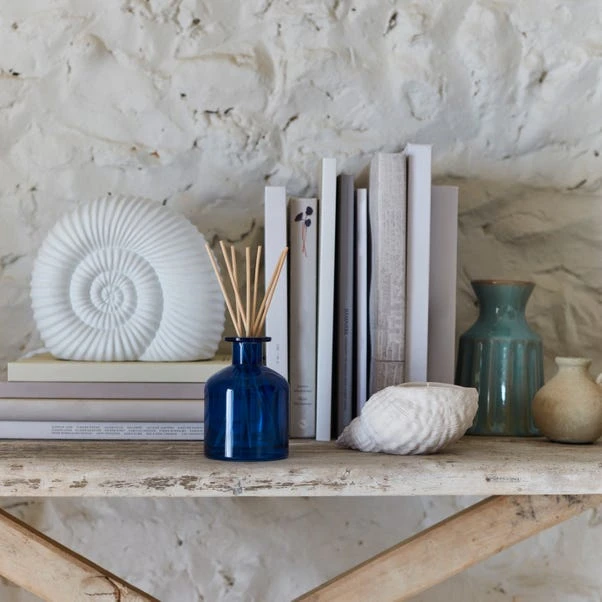 Natural History Museum Porcelain Ammonite Lamp 8 Natural History Museum Porcelain Ammonite Lamp - Image 6