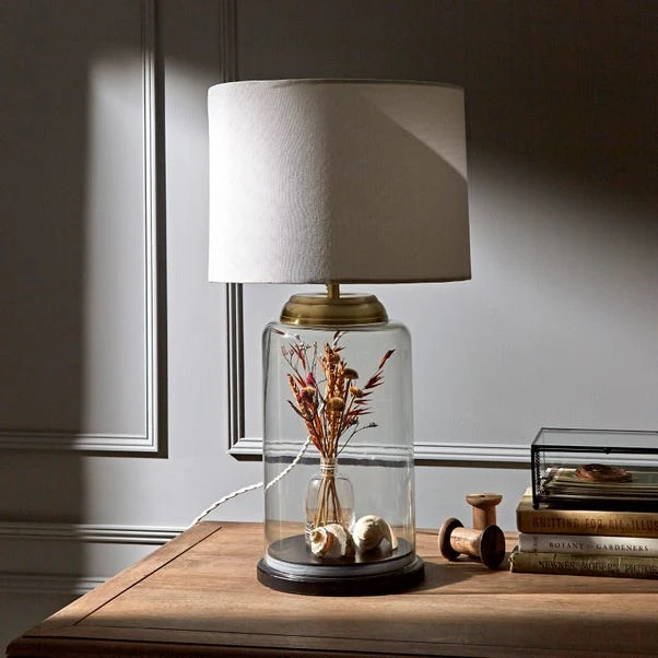 Natural History Museum Table Lamp Clear And Brass 4 Natural History Museum Table Lamp Clear And Brass - Image 2