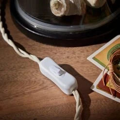 Natural History Museum Table Lamp Clear And Brass 10 Natural History Museum Table Lamp Clear And Brass -Lighting Heaven 30803334 alt03