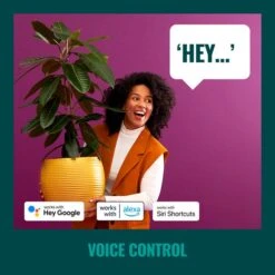 WiZ Connected WiZ 48ft Smart Ambient Outdoor String Lights 12 WiZ Connected WiZ 48ft Smart Ambient Outdoor String Lights -Lighting Heaven 30838383 alt05